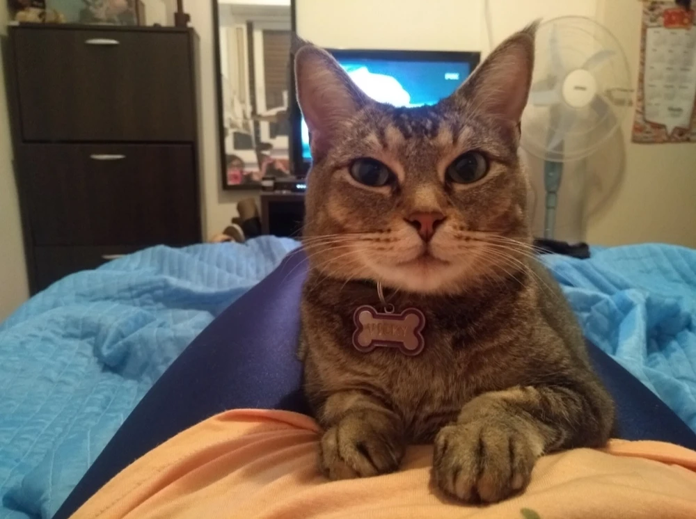 Me siento un poco sensible