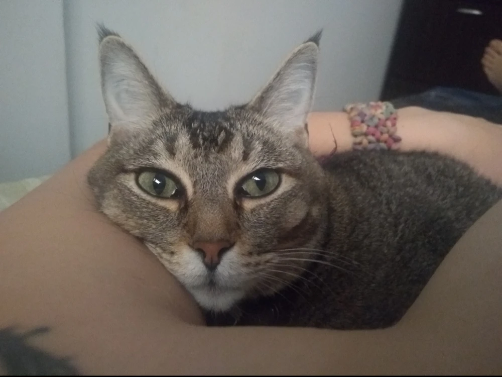 Me siento un poco sensible