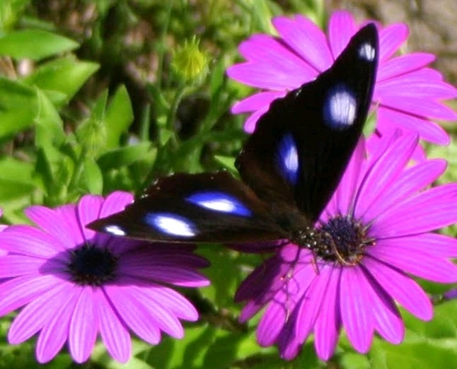 GIF uploaded by Kate