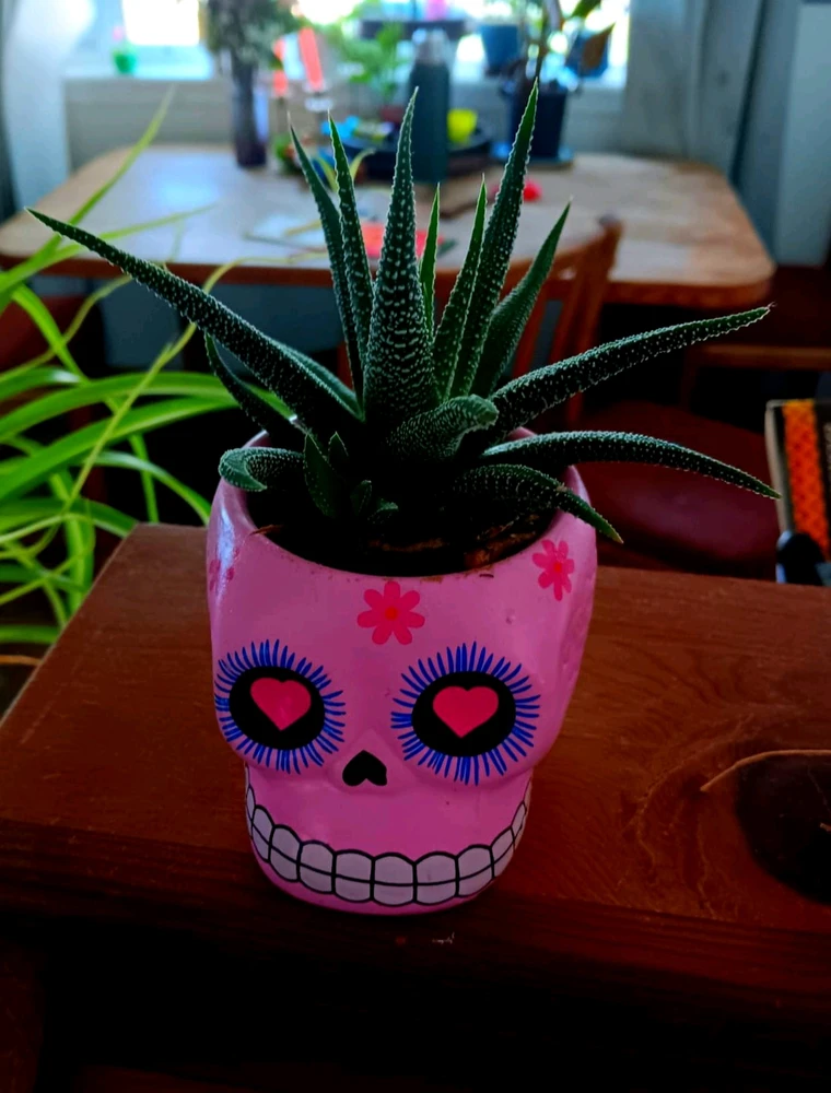 GIF subido por Blanca