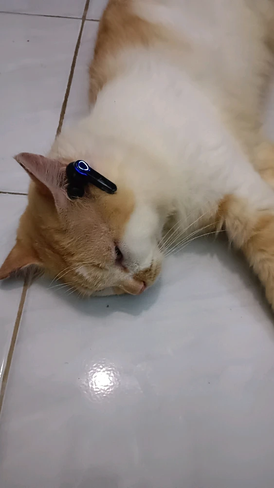 GIF diunggah oleh S