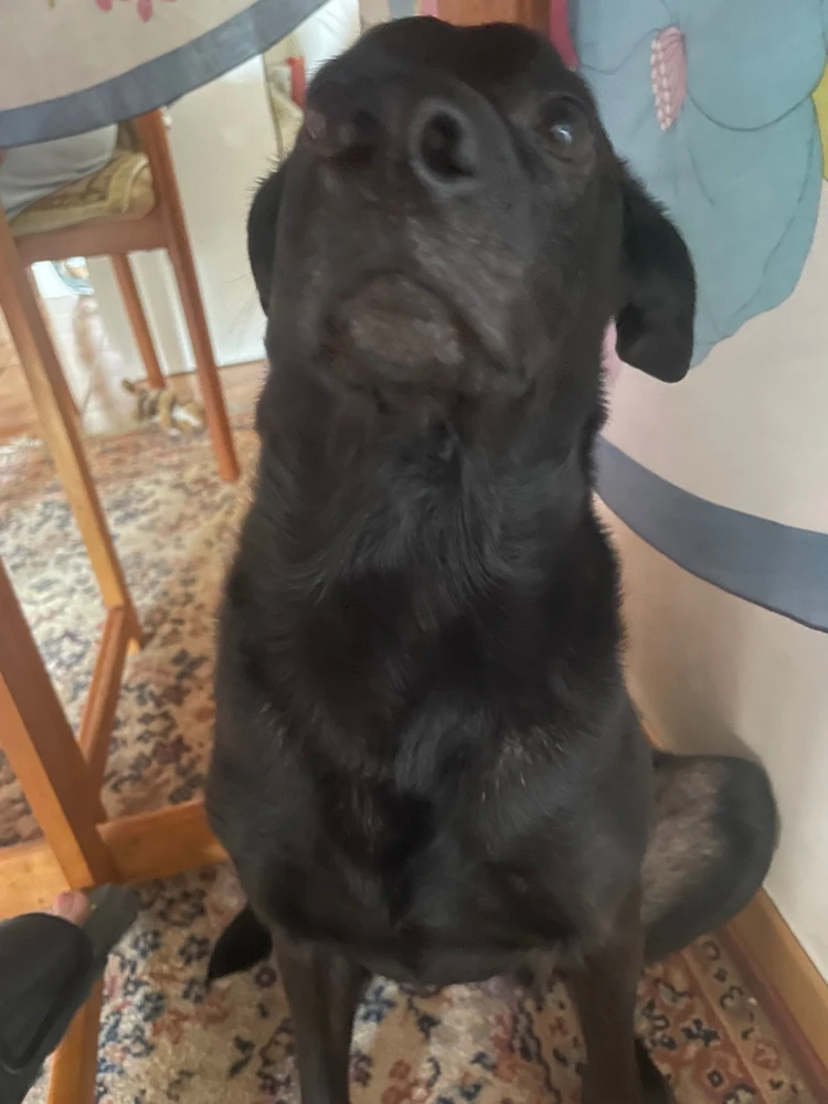 Immagine caricata da Anastasiya ִֶָ𓂃 ࣪˖ ִֶָ🐇་༘࿐