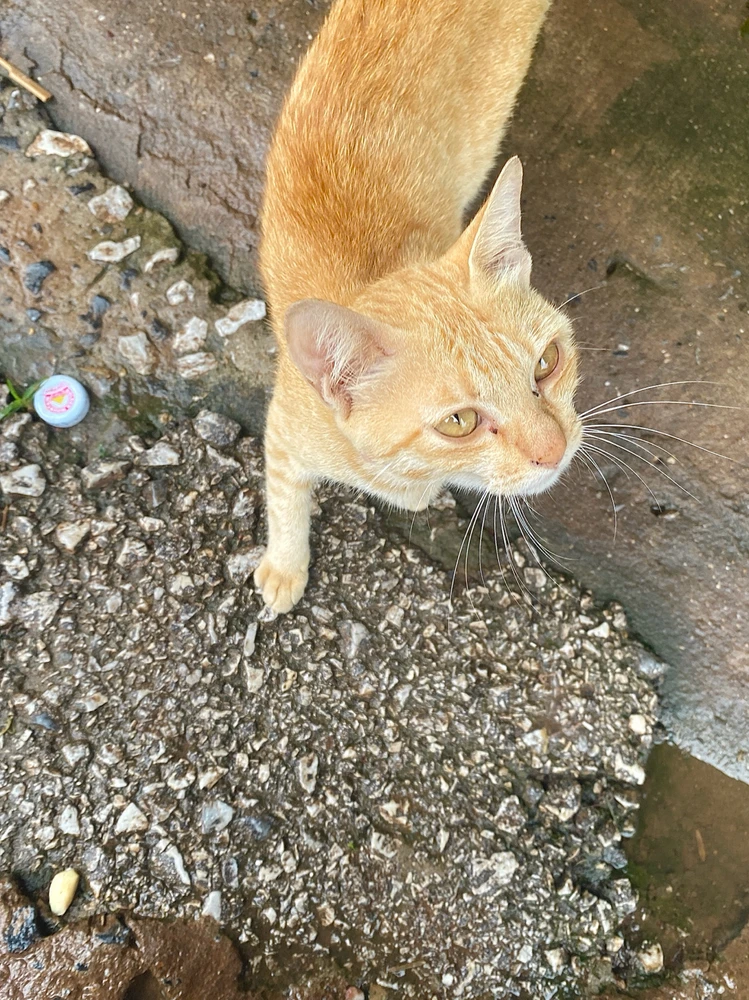 รูปที่อัพโหลดโดย Junjan