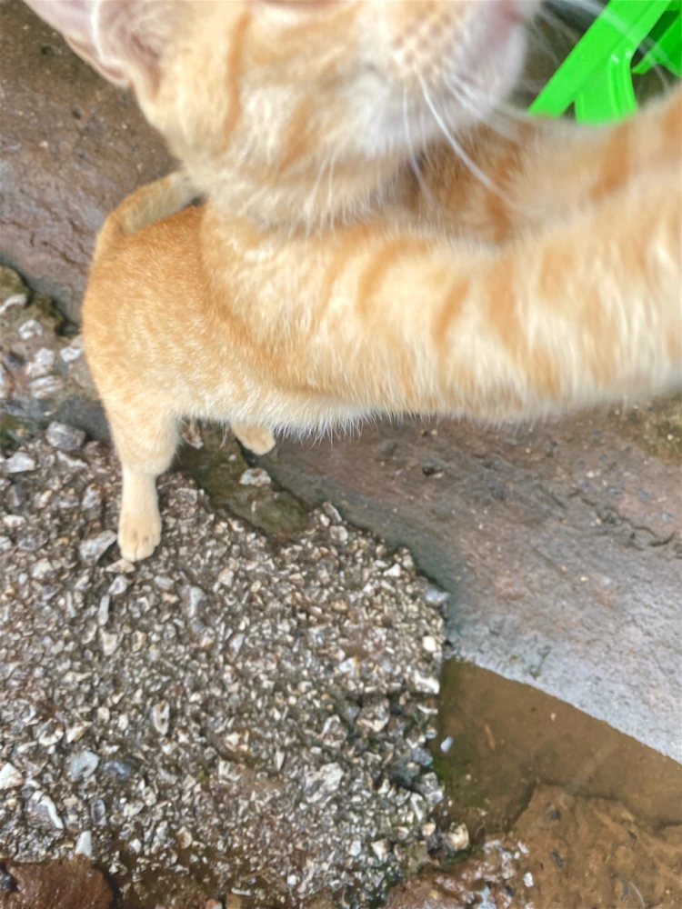 รูปที่อัพโหลดโดย Junjan