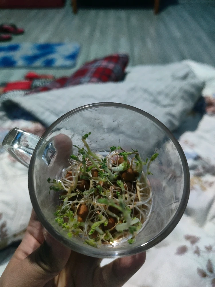 GIF uploaded by Subham