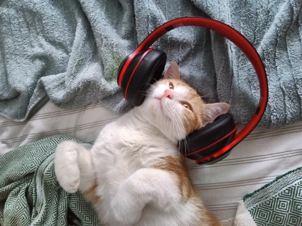 GIF hochgeladen von Harald