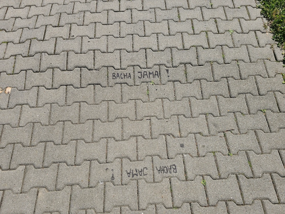 GIF nahrál Veronika