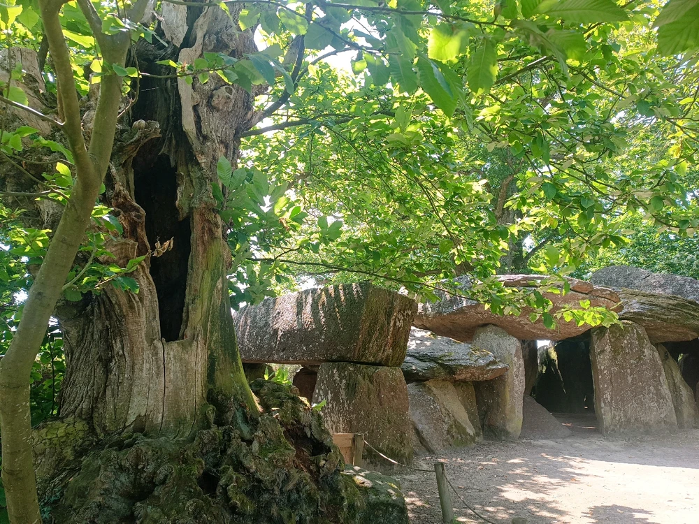 Rencontres et évidence