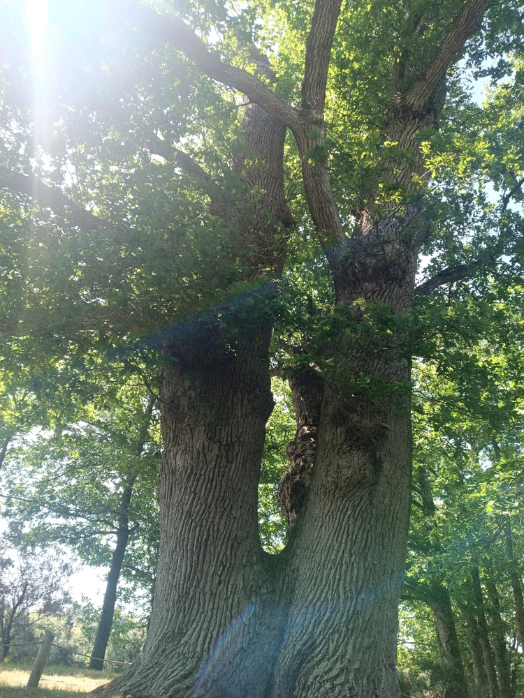 Rencontres et évidence