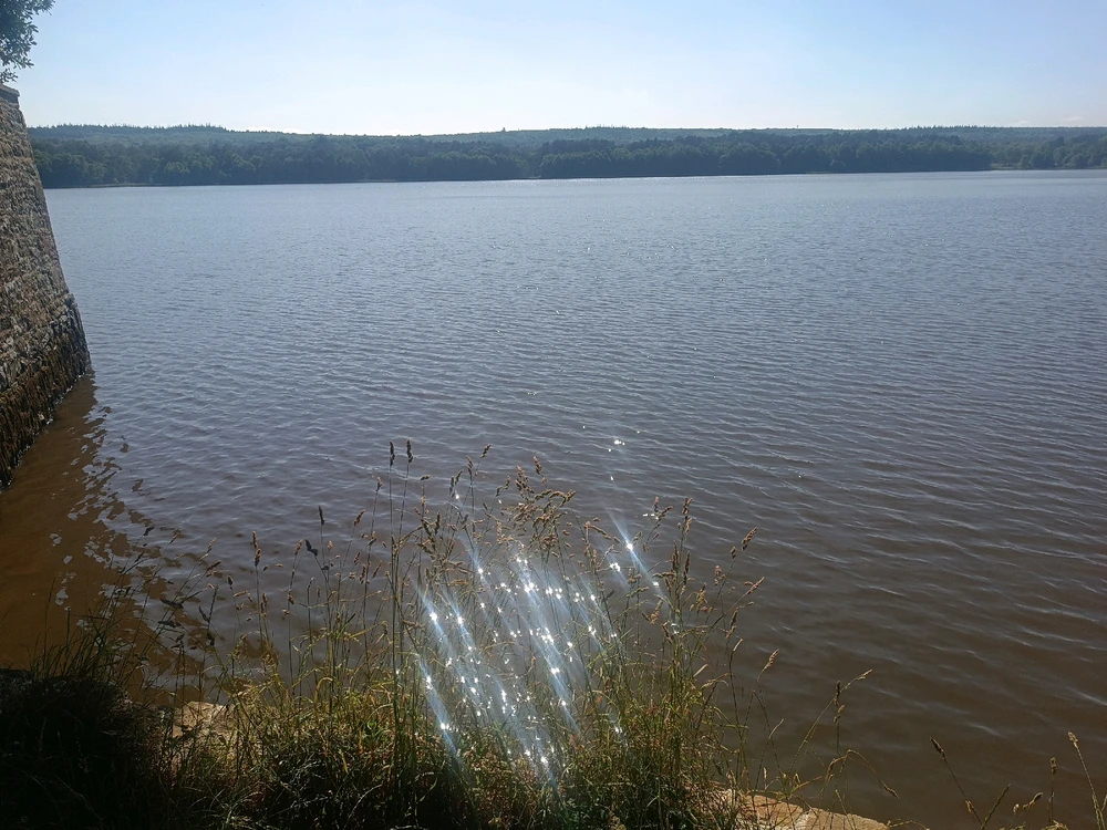 Rencontres et évidence