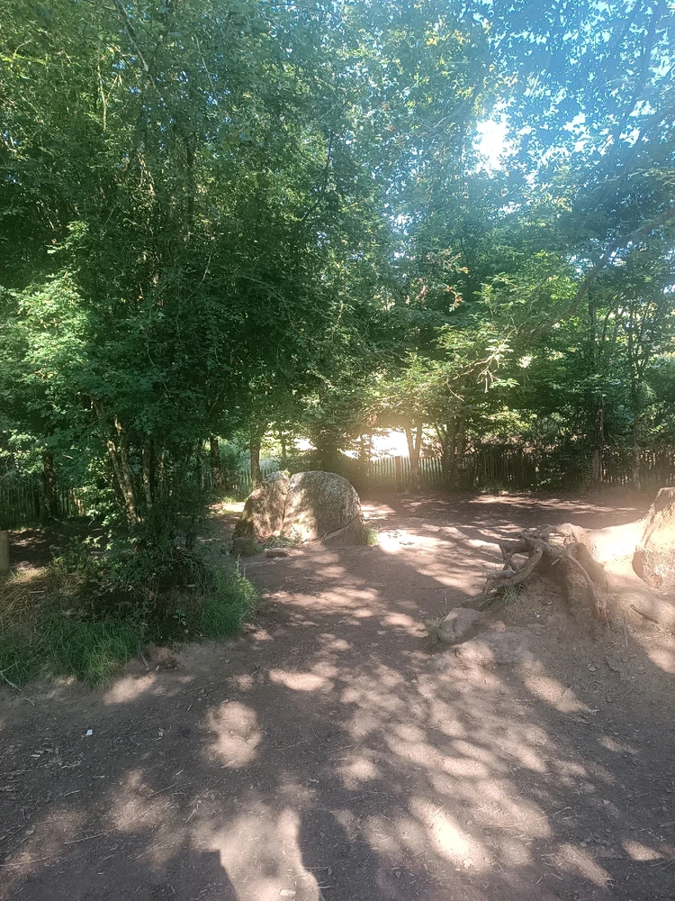 Rencontres et évidence