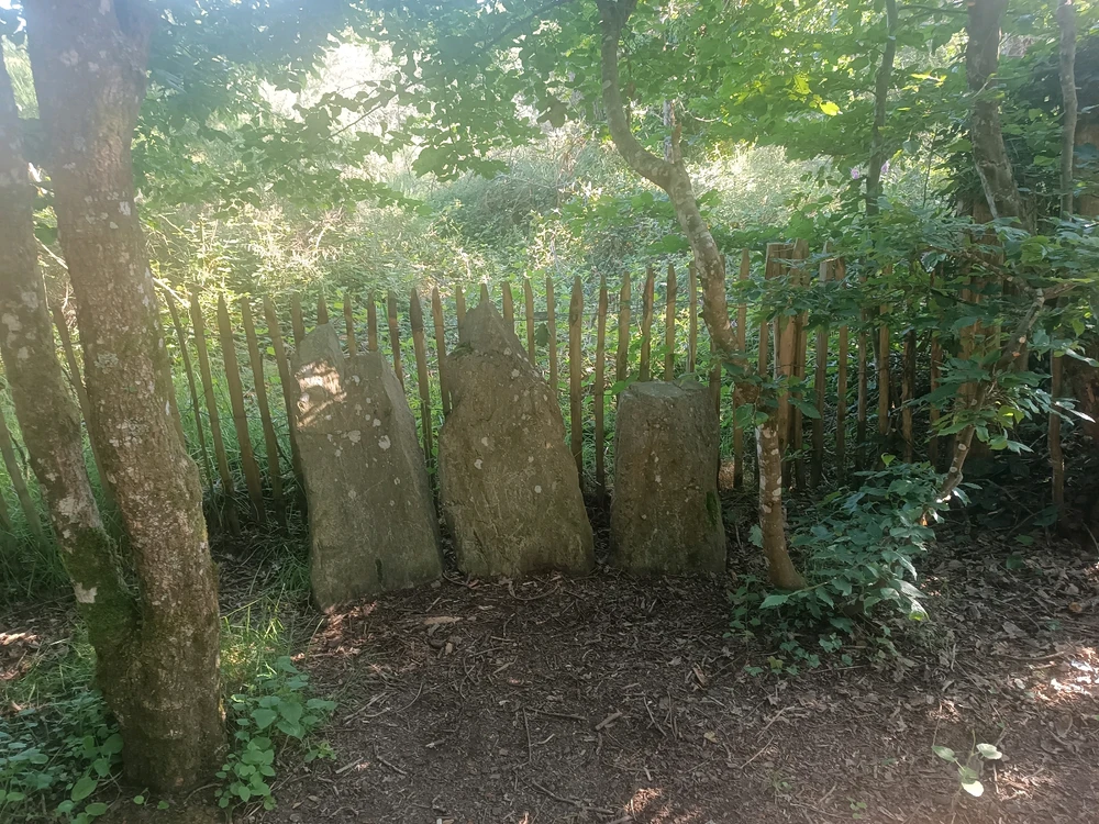 Rencontres et évidence