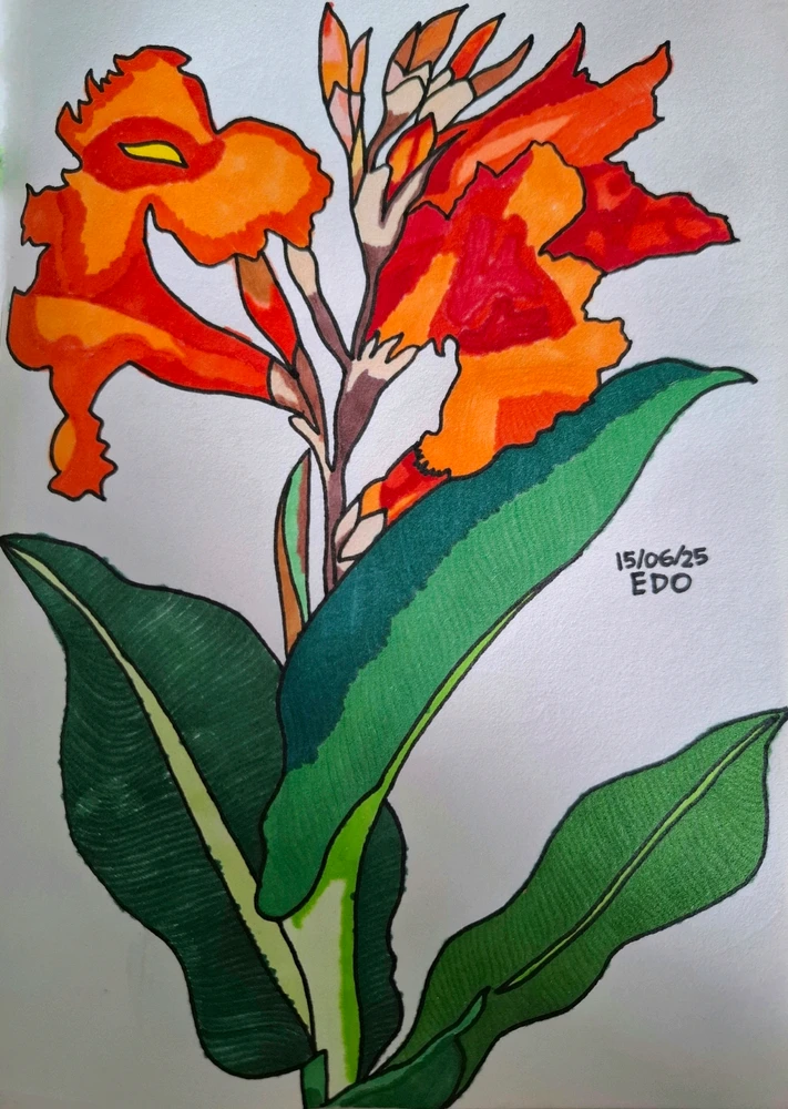 Image uploaded by Edo