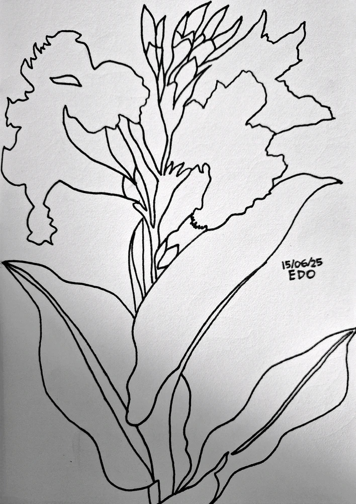 Image uploaded by Edo