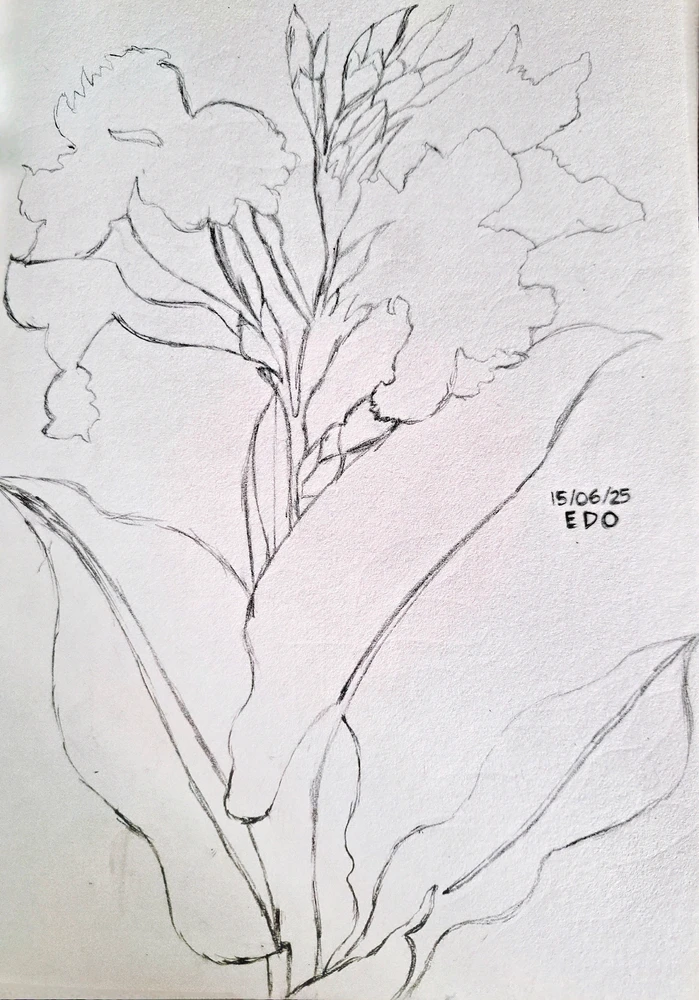 Image uploaded by Edo