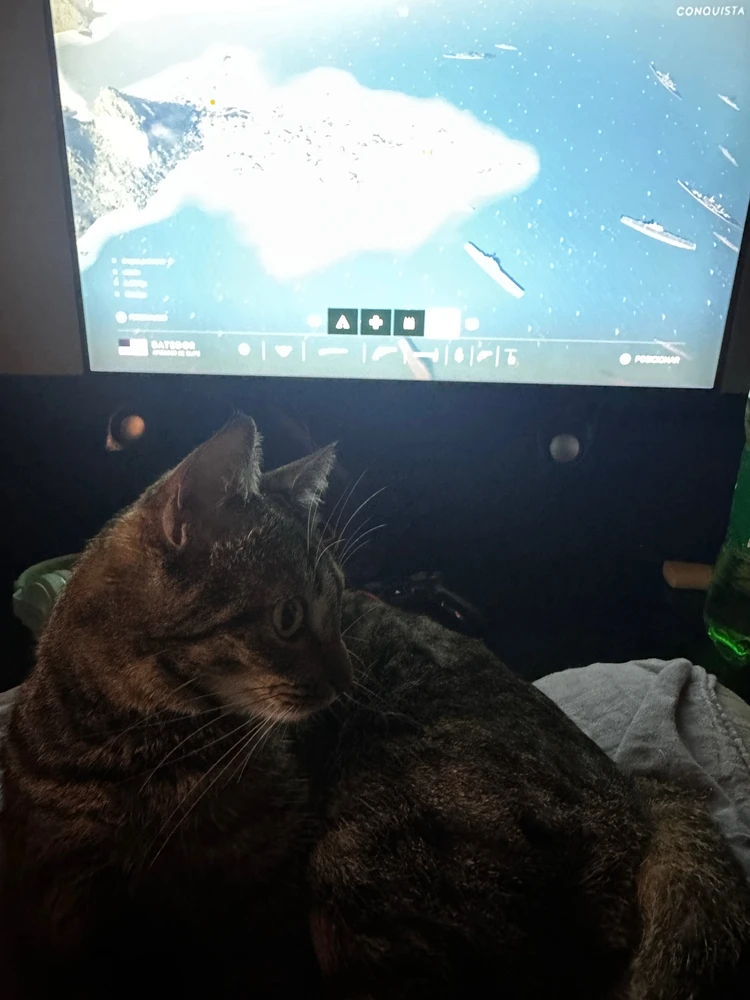 GIF enviado por Felipe