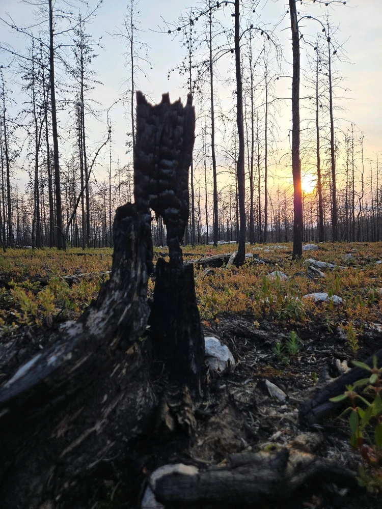 GIF uploaded by Patrik