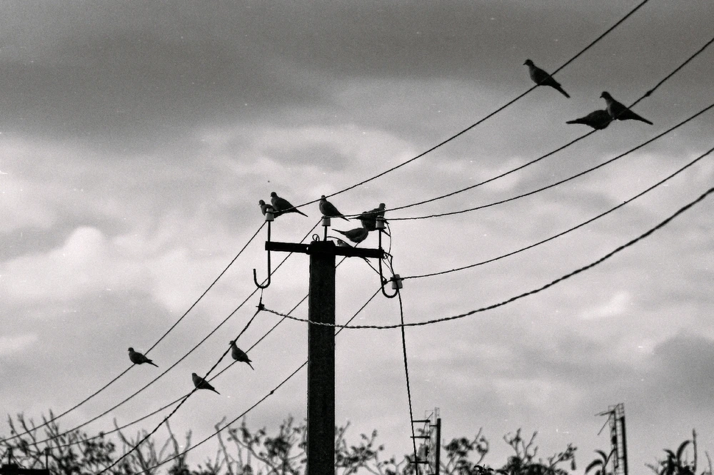 GIF загрузил Sofi