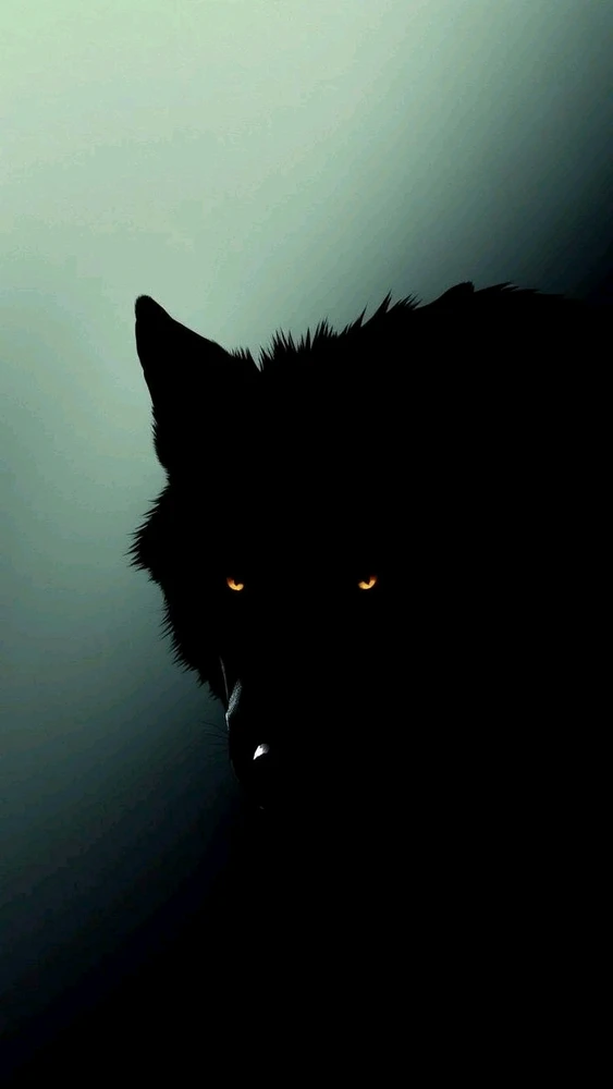 Гіфку завантажив Natalia🦇