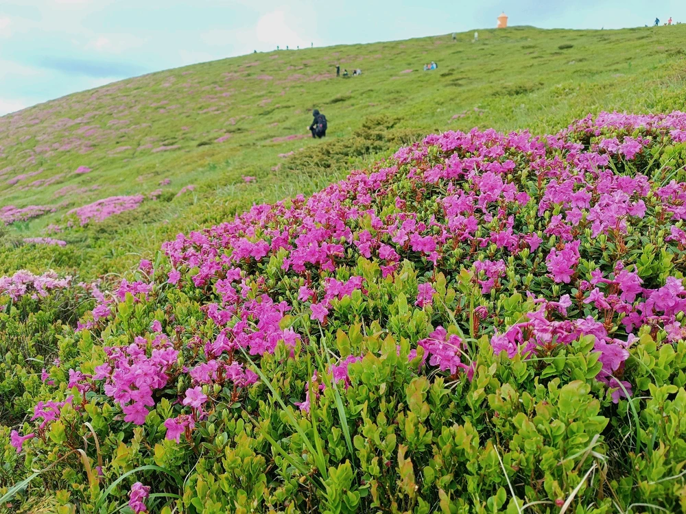 Imagine încărcată de Eduard Radu