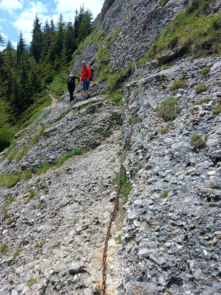 Imagine încărcată de Eduard Radu