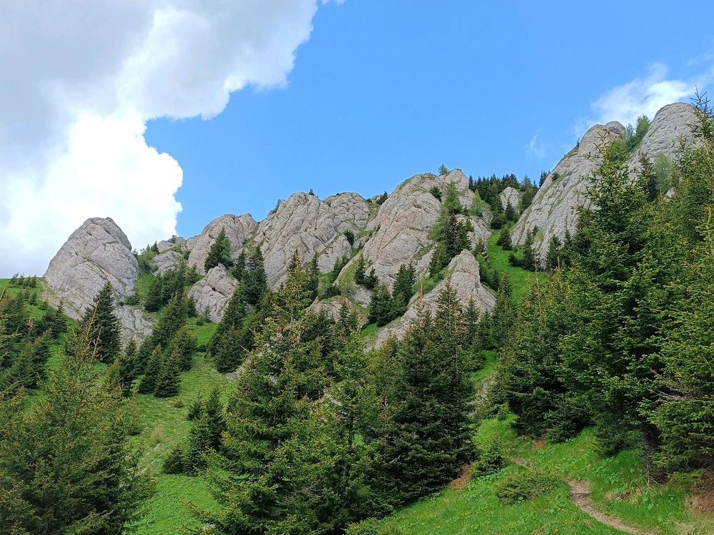 Imagine încărcată de Eduard Radu