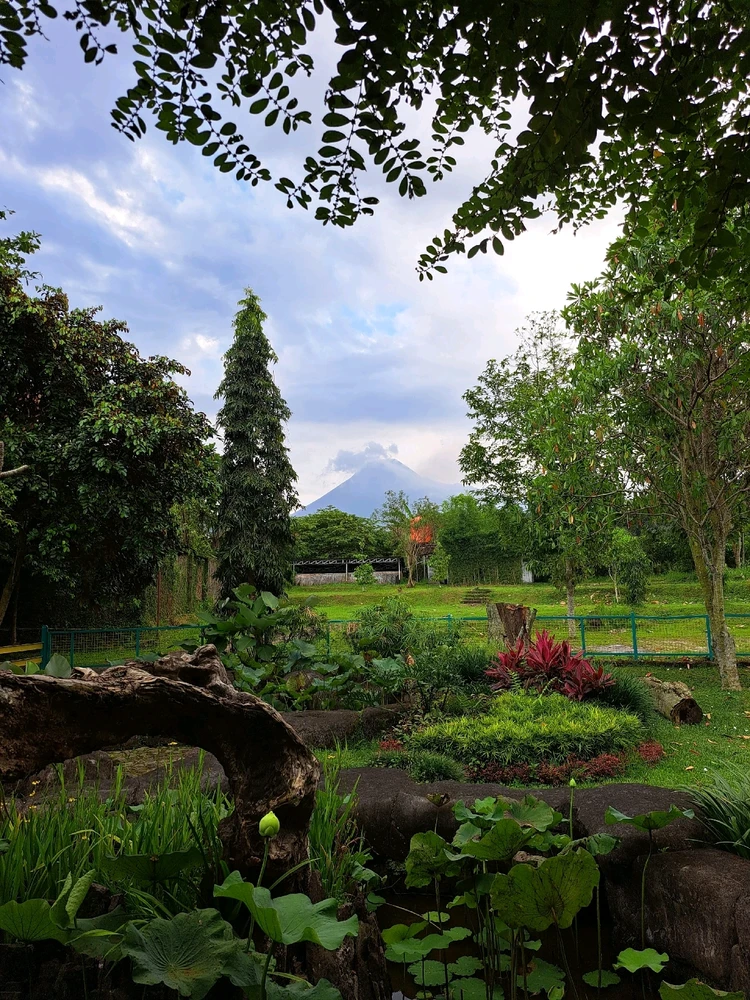 GIF diunggah oleh Jan