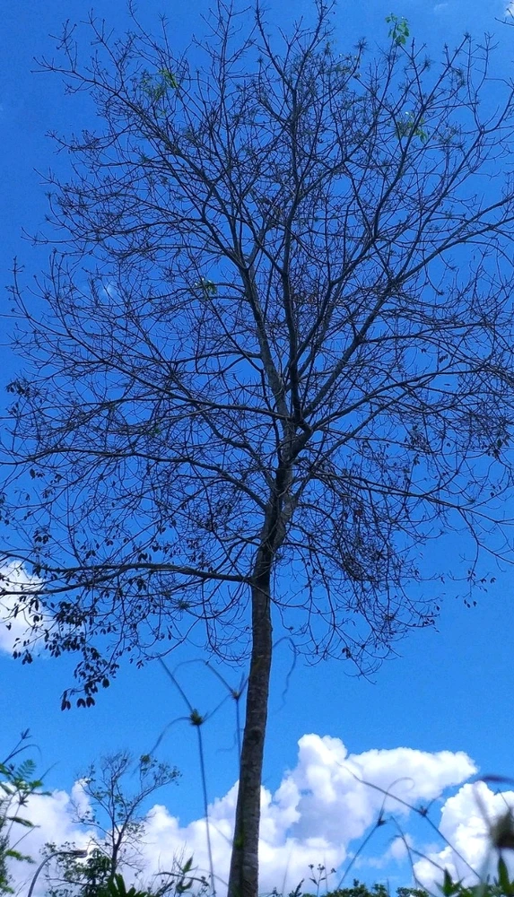 GIF diunggah oleh Indah