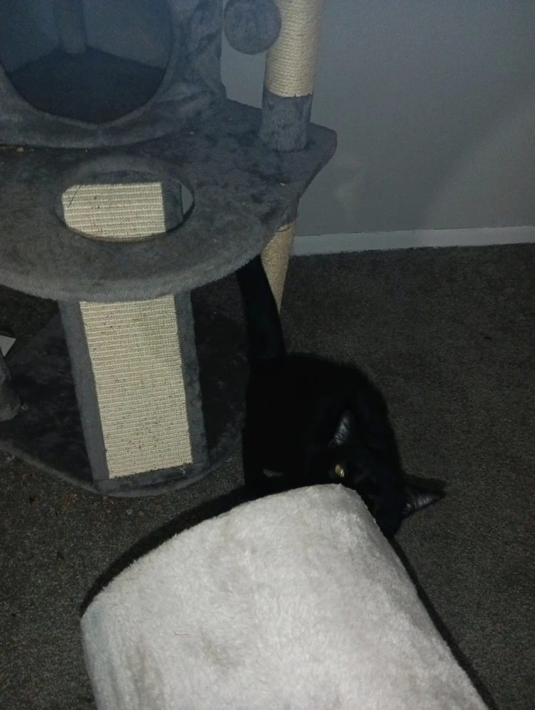 GIF uploaded by Mario