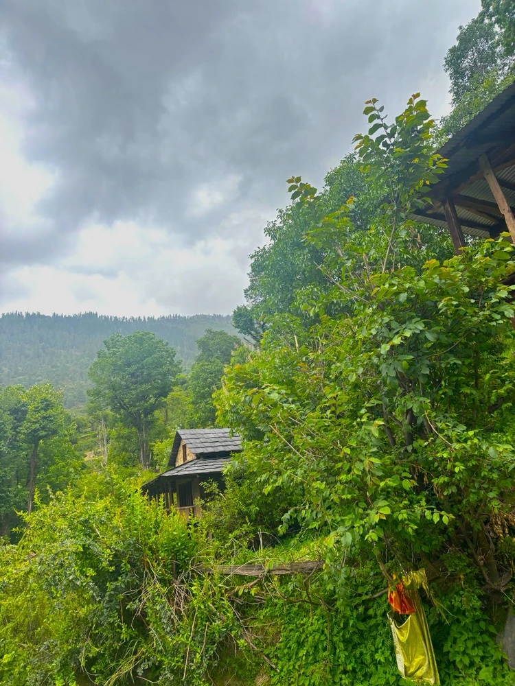 Image uploaded by Kushagra Garg