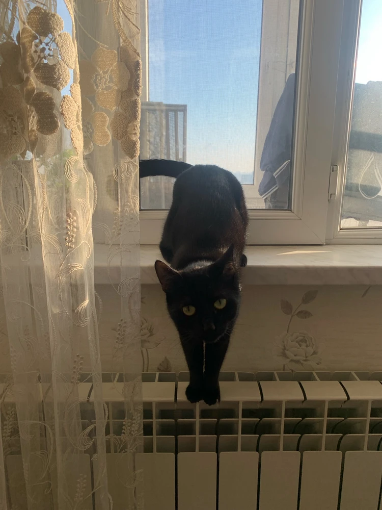 Image uploaded by Nurjan