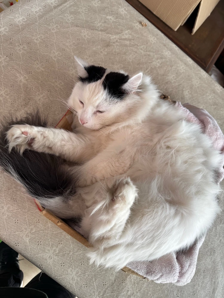 GIF enviado por Kenzo