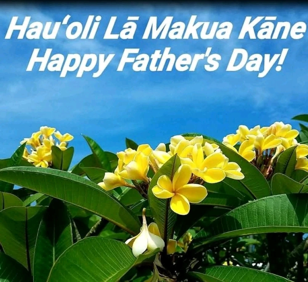 GIF uploaded by AliixT