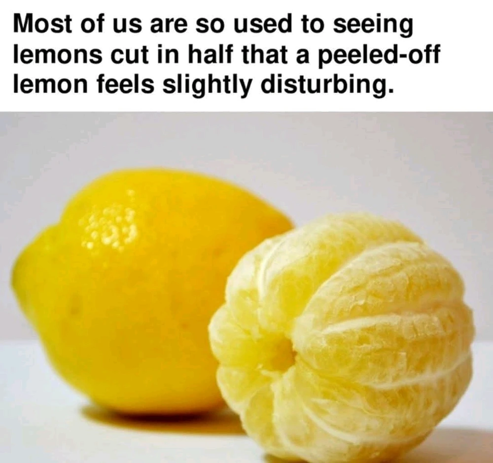 GIF uploaded by Lída