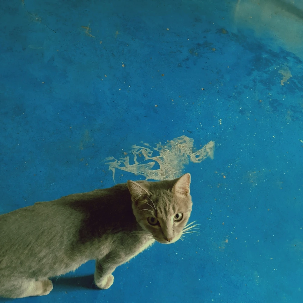 ヘロウ、本当にここにいるの？日本語はそんなに話せないけど、話せるよ。通訳を通してコミュニケーションを取っているから。誰か話したい人がいたら、いつでも行くから心配しないで。