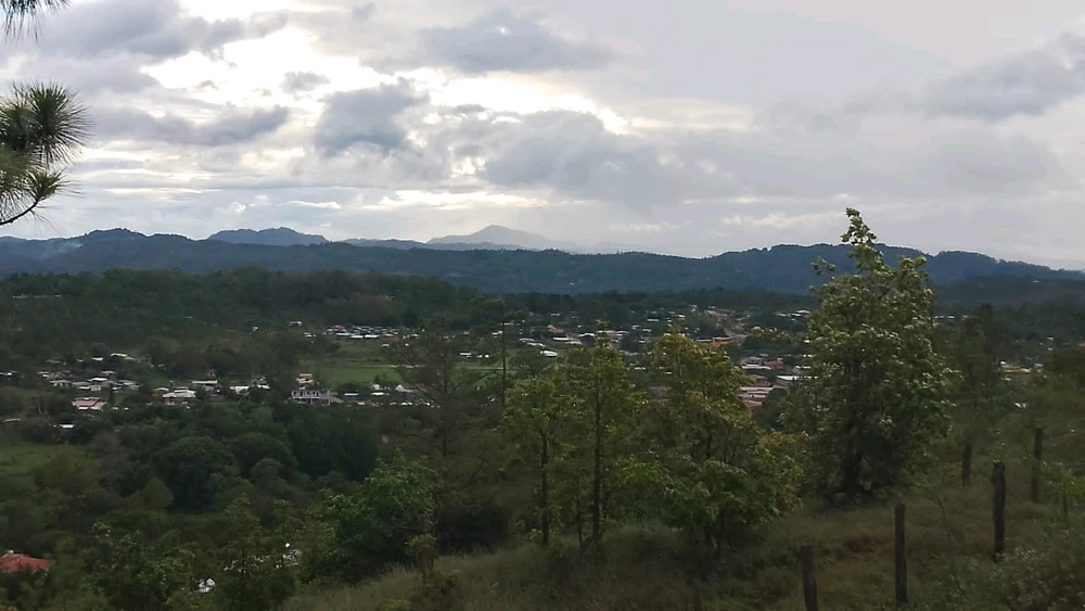 GIF subido por Sponk