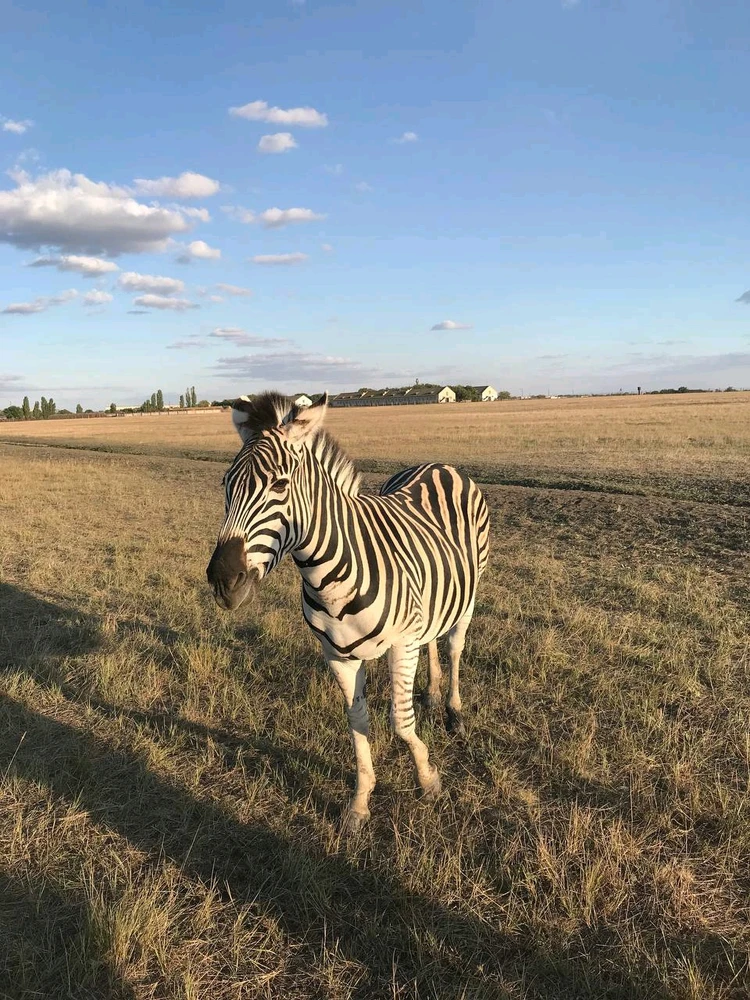 Фото загрузил Anatolii