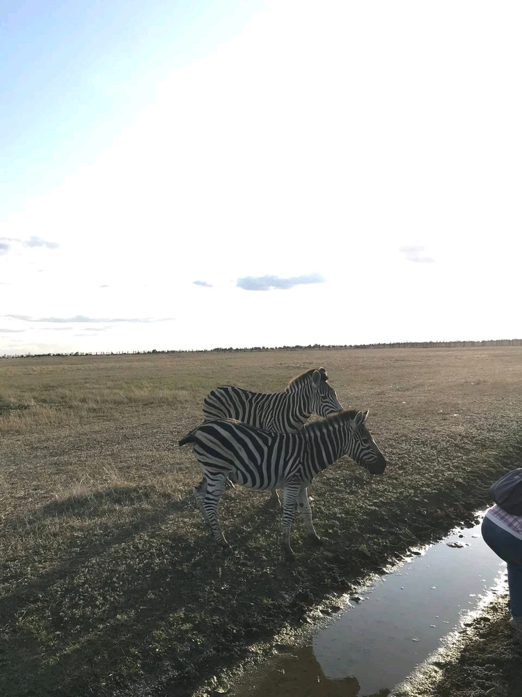 Фото загрузил Anatolii