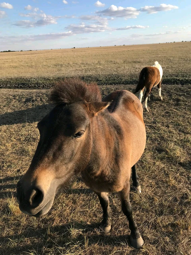 Фото загрузил Anatolii