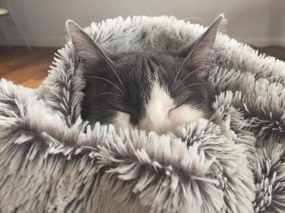 GIF uploaded by Lumi