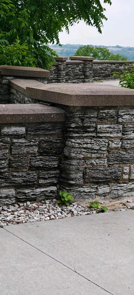 Image uploaded by Dan