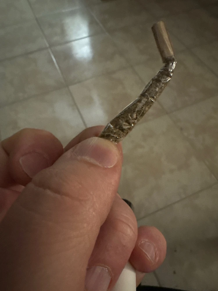 GIF subido por Quimey