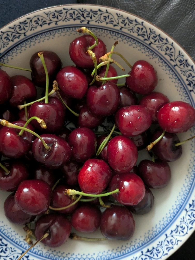 GIF hochgeladen von Iri