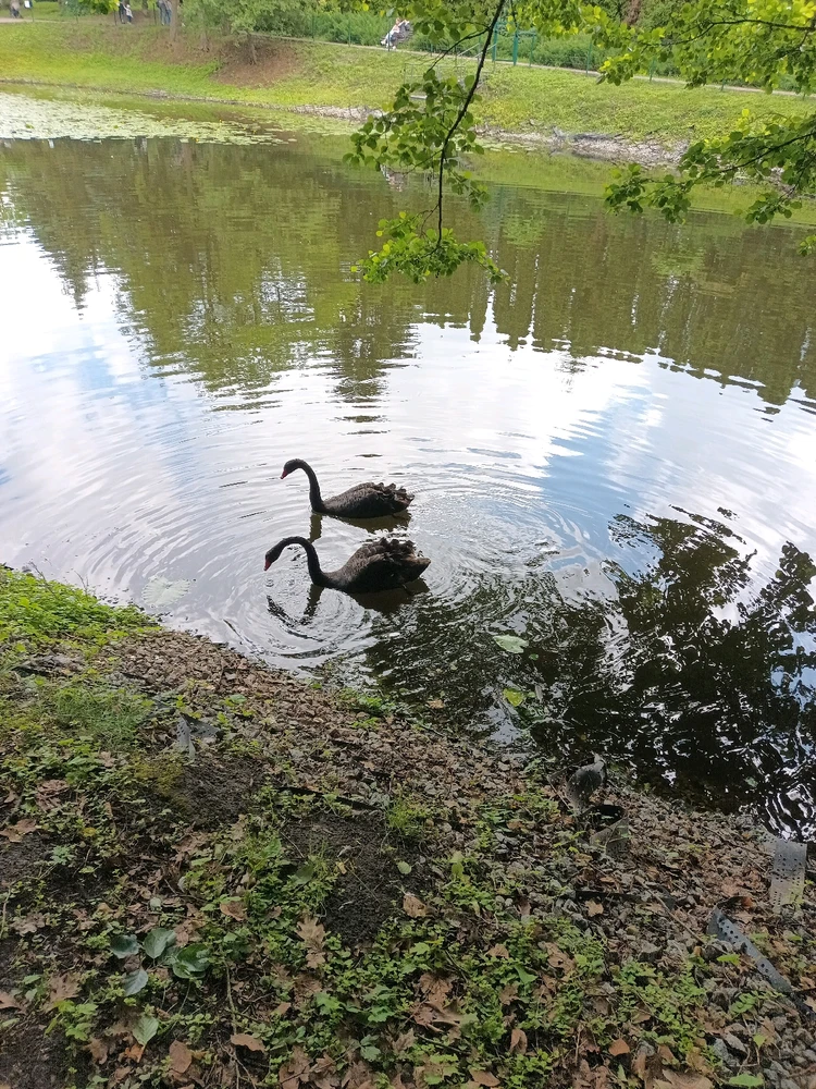 Зображення завантажив Макс