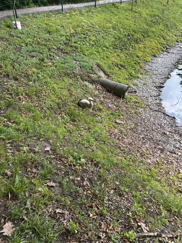 Зображення завантажив Макс