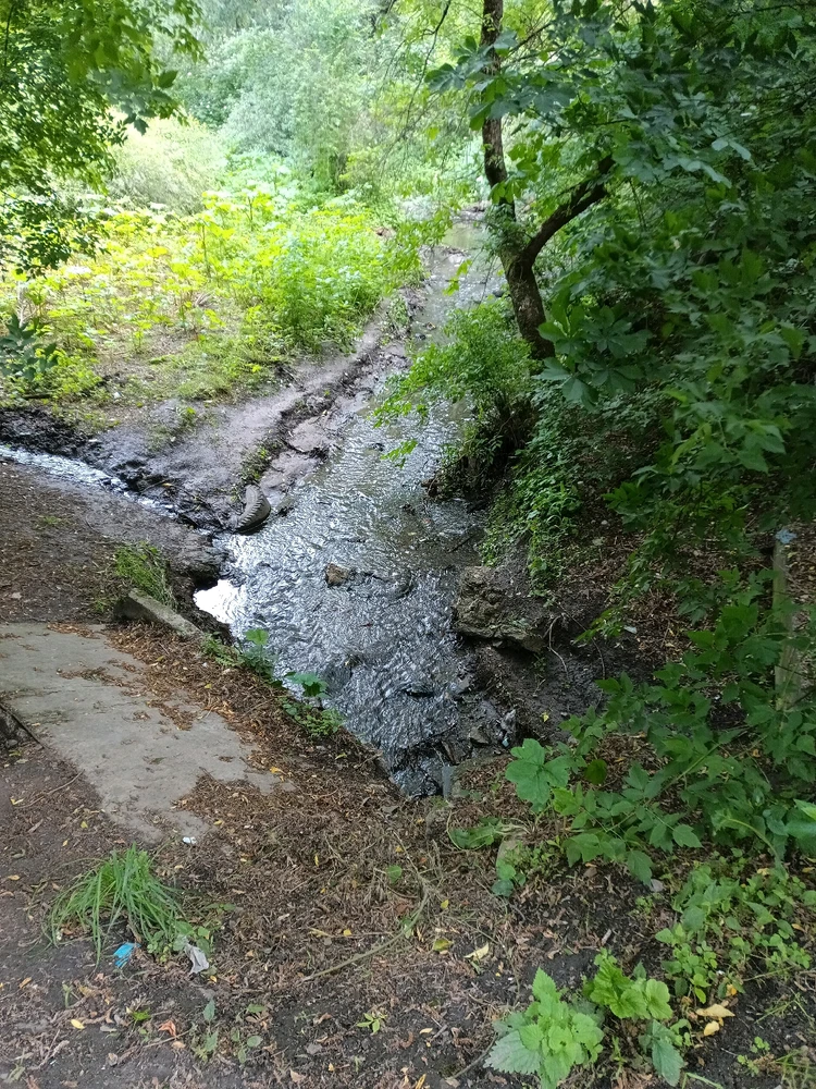 Зображення завантажив Макс