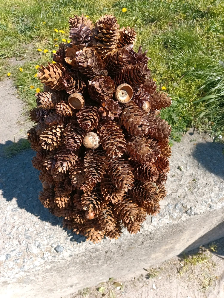 Зображення завантажив Макс