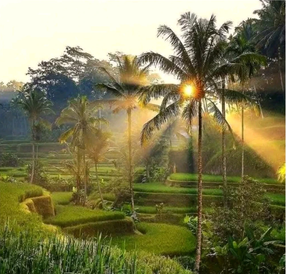 Gambar diunggah dening Ligaya