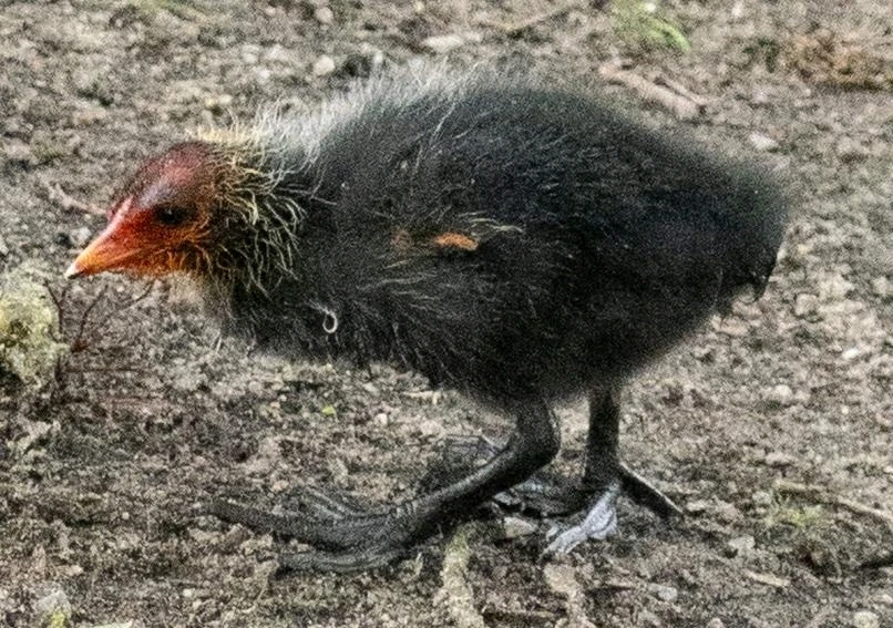 Bild hochgeladen von Max