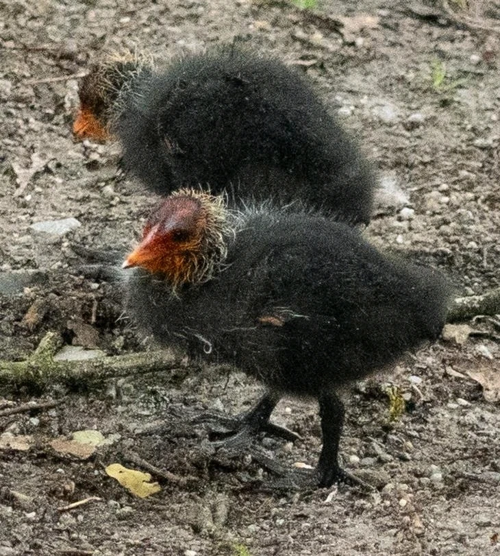 Bild hochgeladen von Max